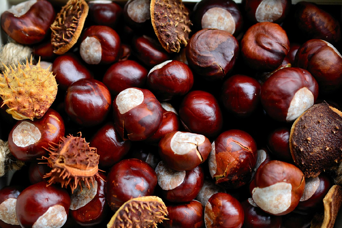 Ecco perché ora preparo le castagne solo in forno: croccanti e pronte in 5 minuti, senza caos